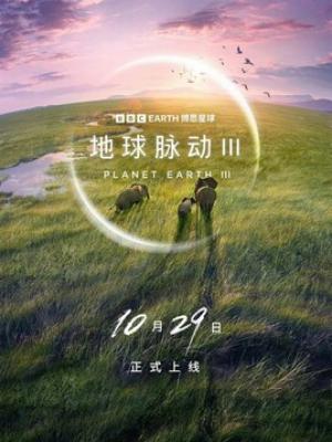 我不是机器人